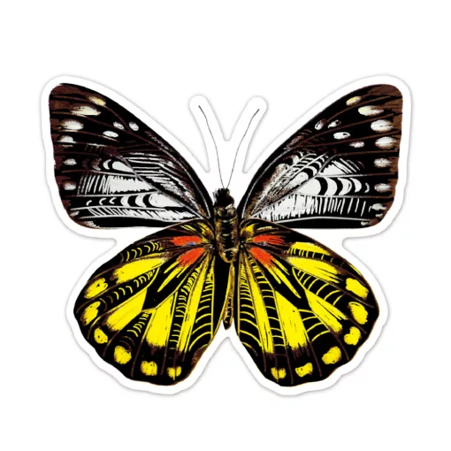 Karckép matricák: pillangók (Avenir)