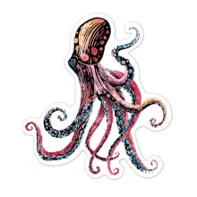 Karckép matricák: tengeri élőlények (Avenir)