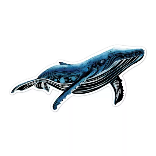 Karckép matricák: tengeri élőlények (Avenir)