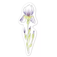 Vízzel festő kreatív könyvjelző készlet: virágok (Avenir)