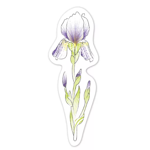 Vízzel festő kreatív könyvjelző készlet: virágok (Avenir)