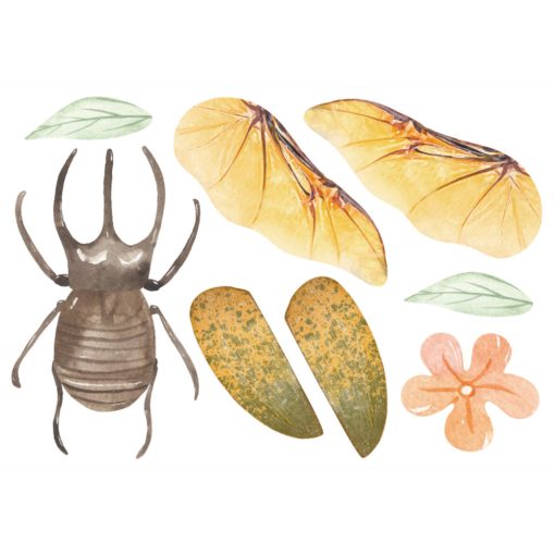 Charm késztő kreatív készlet fából: bogár (Avenir)