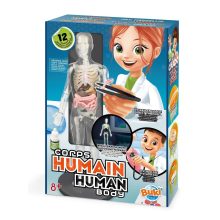 Tudományos készlet: az emberi test (Buki)