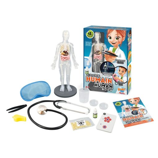 Tudományos készlet: az emberi test (Buki)
