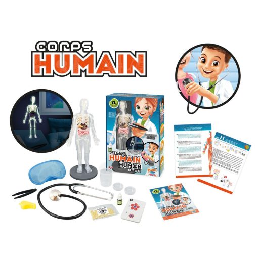 Tudományos készlet: az emberi test (Buki)