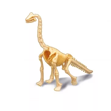 Dínó csontváz felfedező készlet: Brachiosaurus (BUKI)