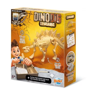 Dínó csontváz felfedező készlet Stegosaurus BUKI