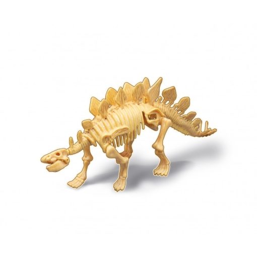 Dínó csontváz felfedező készlet Stegosaurus BUKI