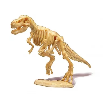 Dínó csontváz felfedező készlet T-Rex BUKI