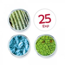 Kézi videómikroszkóp (BUKI)