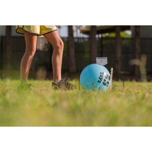 Rúgd a labdát! – ügyességi játék (BS Toys)