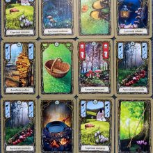 Fungi társasjáték (Fungi)