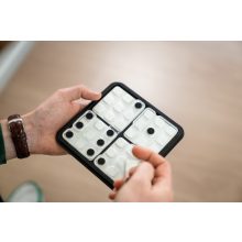 Dobókockázat (Dice Deduction)