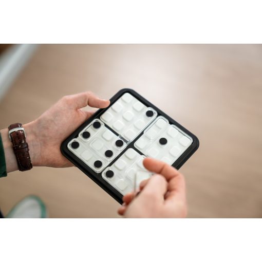 Dobókockázat (Dice Deduction)